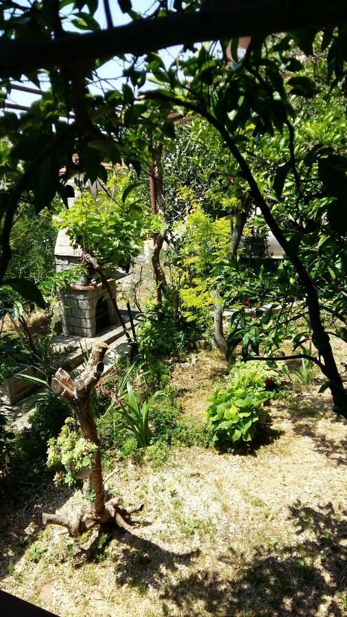 Apartmani Ivanka Makarska Exterior foto